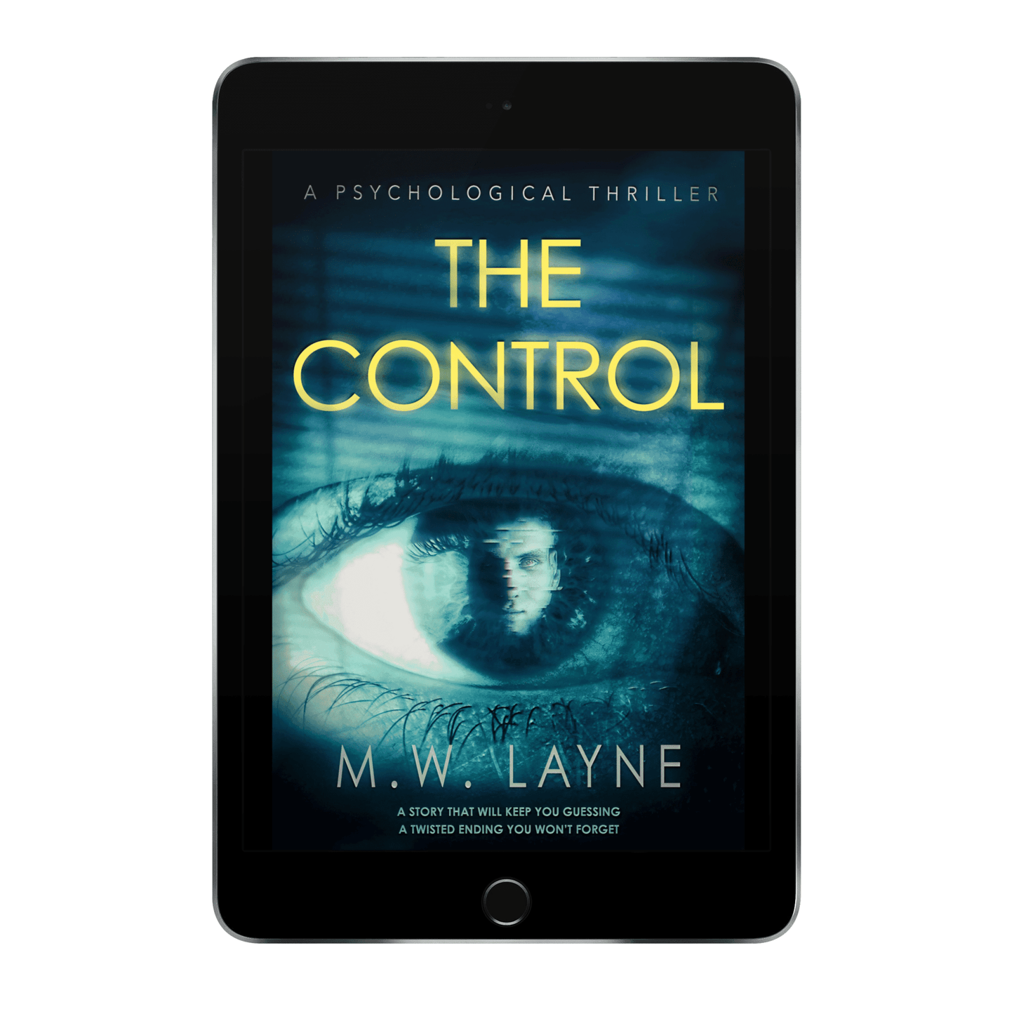 The Control (eBook) - Writer Layne Publishing